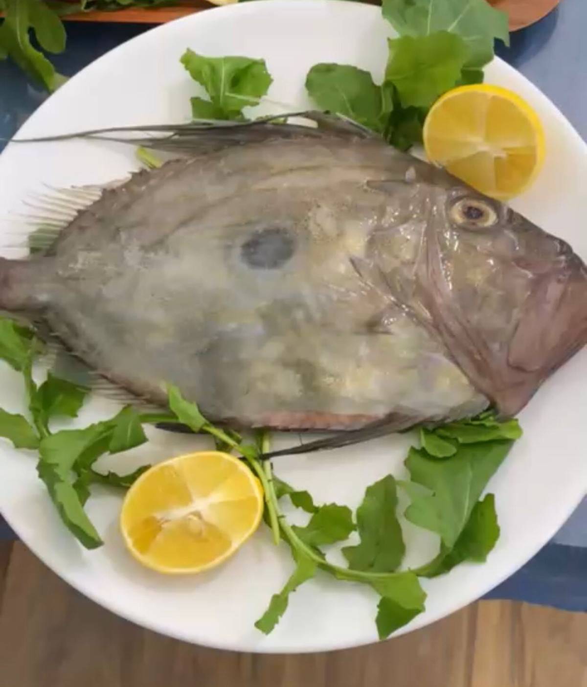 Afyonkarahisar’da Balık Sezonu Açıldı: “Bu Yıl Hamsi ve Sardalya Bolluğu Var”