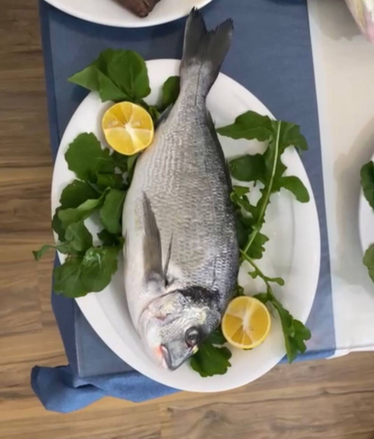 Afyonkarahisar’da Balık Sezonu Açıldı: “Bu Yıl Hamsi ve Sardalya Bolluğu Var”