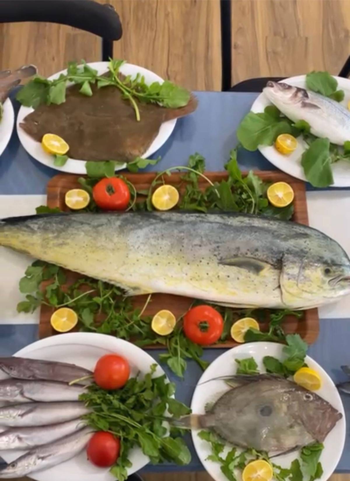 Afyonkarahisar’da Balık Sezonu Açıldı: “Bu Yıl Hamsi ve Sardalya Bolluğu Var”