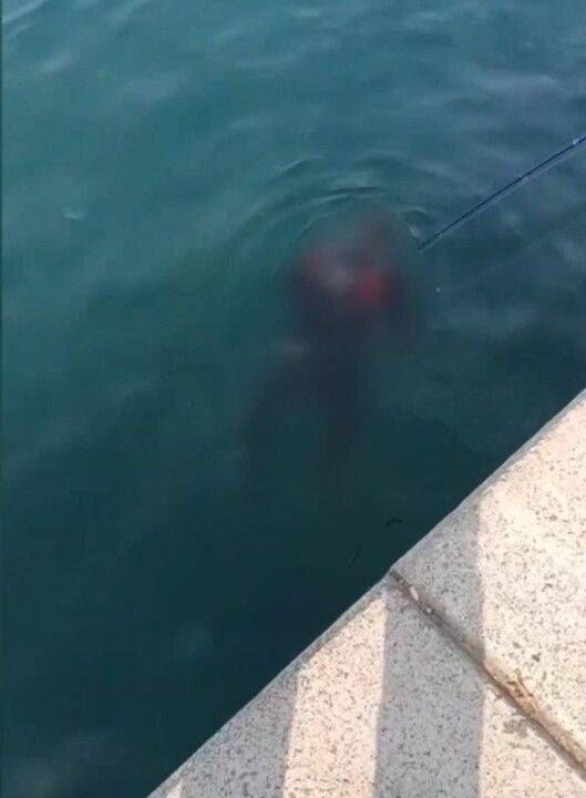 İstanbul Beykoz’da Kahreden Olay: Denizde Bulunan Cesedin Kimliği Belli Oldu