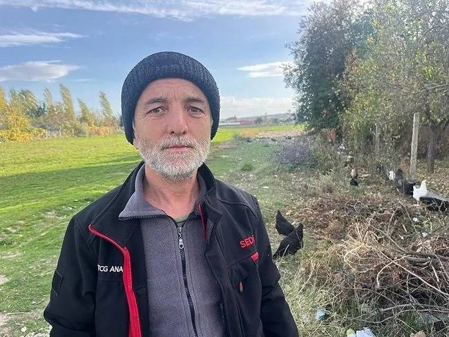 Eskişehir Gazipaşa Mahallesi’nde Köpek Terörü! Mahallede Korku Dolu Günler Yaşanıyor!