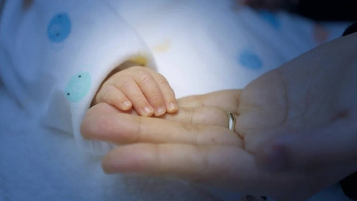 Doğum İzni 24 Hafta Oldu Mu? Ne Zaman Olacak? 2026 Meclis'ten Geçti Mi?