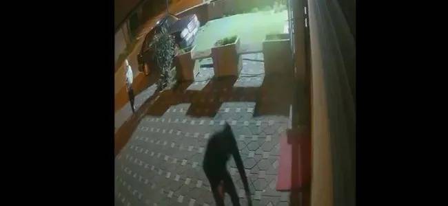 İstanbul Büyükçekmece’de Molotoflu Saldırı: Tehdit Mesajı Atan 3 Şüpheli Tutuklandı!