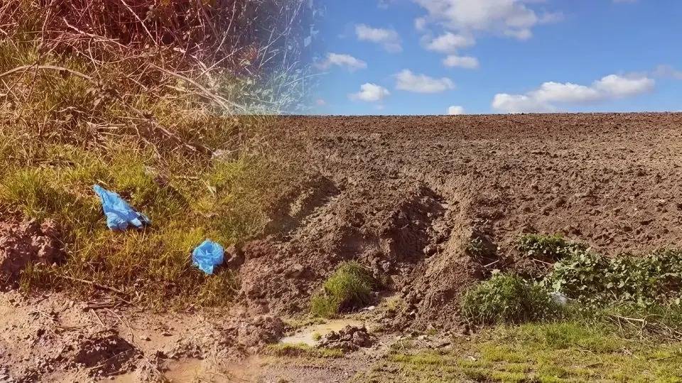 İstanbul'da Çinli İş İnsanı Yong Wang'ın Feci Ölümü: Elleri, Ayakları ve Ağzı Koli Bandıyla Bağlı Bulundu!