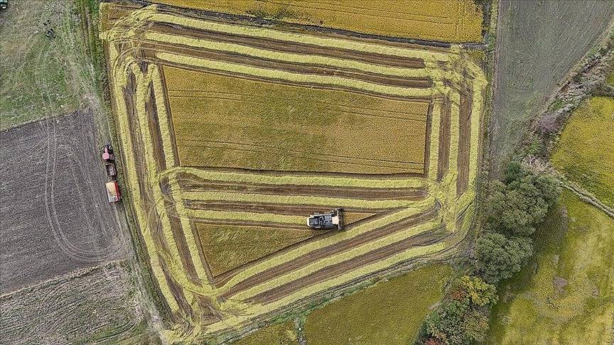 Hazine Destekli Tarım ve Esnaf Kredilerinde Yeni Düzenleme: Şartlar ve Limitler Netleşti!