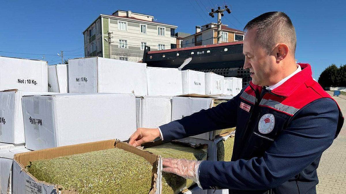 Tekirdağ’da 2 Ton Aflatoksinli Antep Fıstığı Ele Geçirildi: Tüketime Uygun Olmadığı Belirlendi!