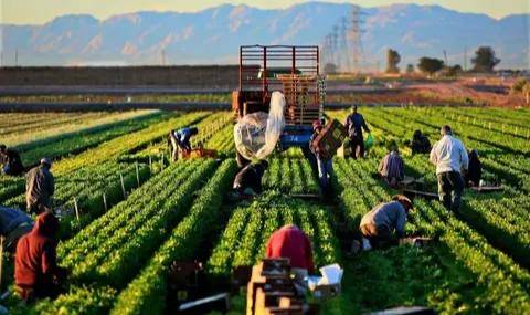 Şubat 2026 Tarım-ÜFE Verileri Açıklandı: Yıllık Artış Yüzde 40,10’a Ulaştı!