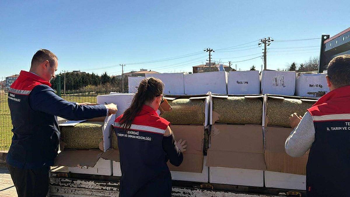 Tekirdağ’da 2 Ton Aflatoksinli Antep Fıstığı Ele Geçirildi: Tüketime Uygun Olmadığı Belirlendi!