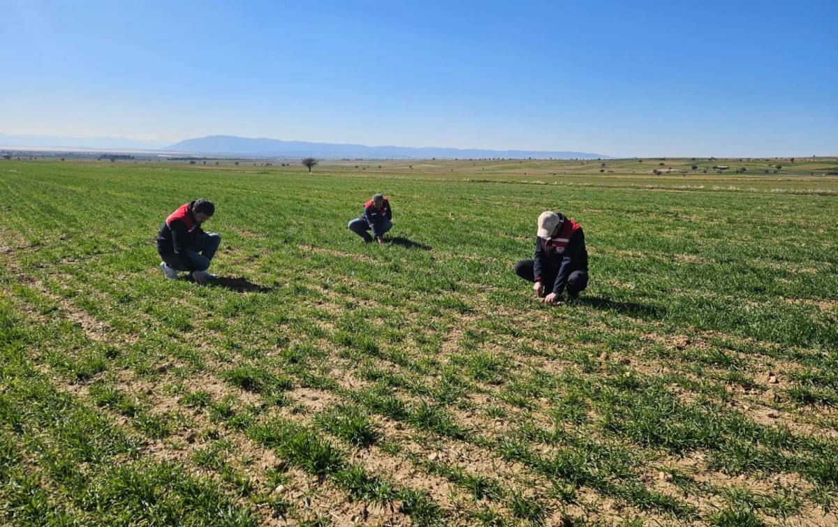 Afyonkarahisar’da Bitkisel Üretimde Sahada Yoğun Mesai