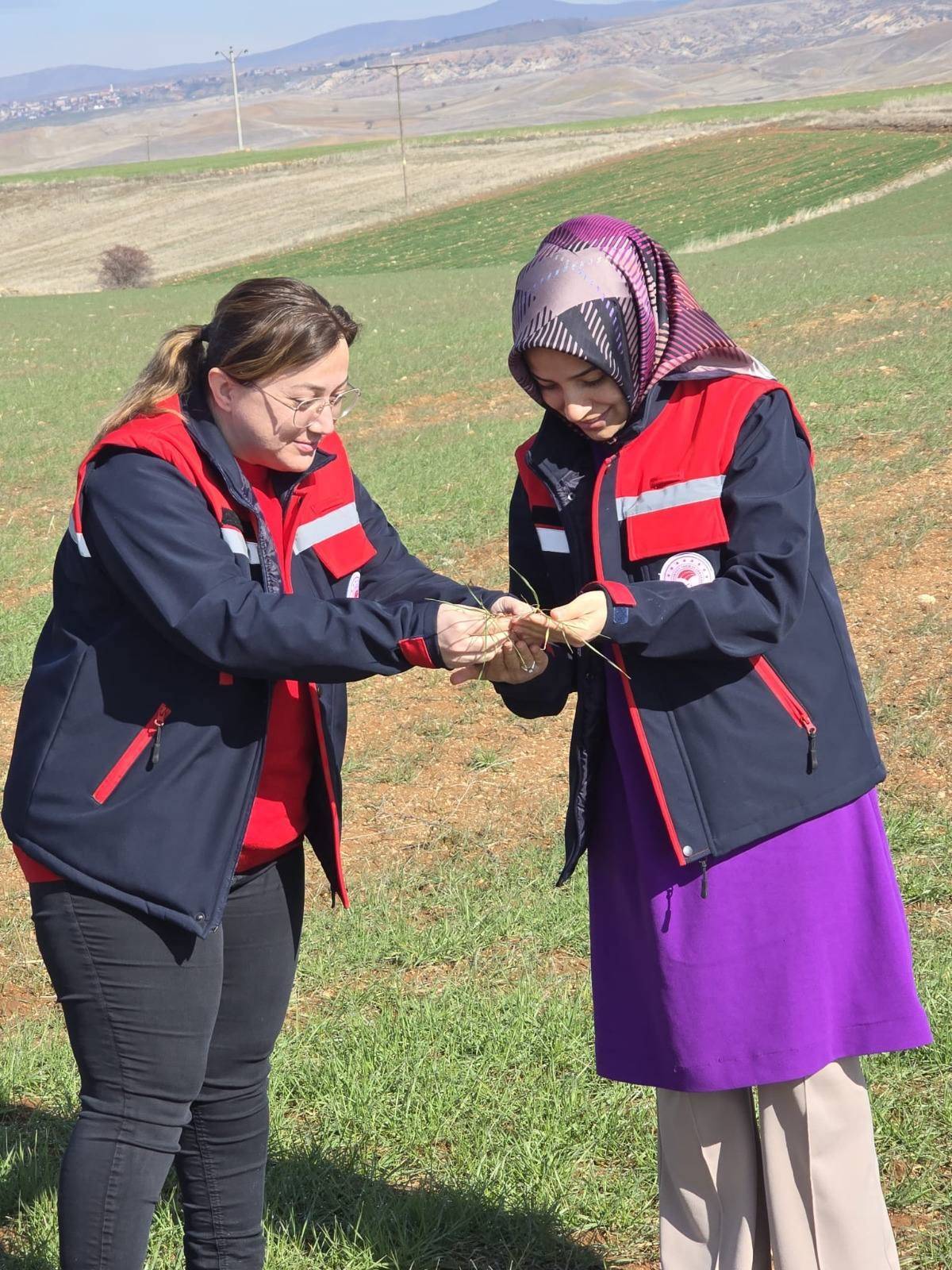 Afyonkarahisar’da Tarım Arazilerinde Sıkı Takip: Fenolojik Gözlem ve Zararlı Kontrolleri Sürüyor