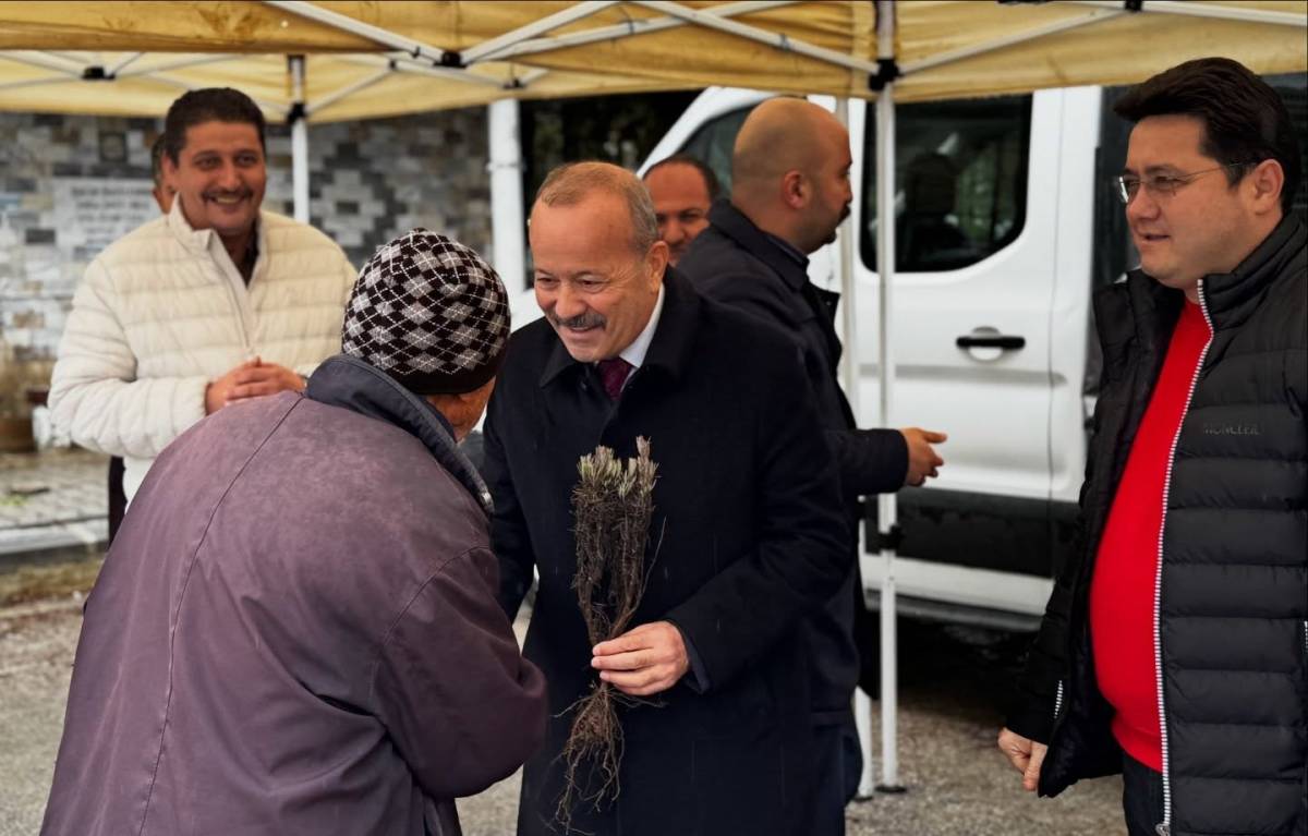 Bolvadin’de Anlamlı Çalışma: 15 Bin Lavanta Hem Mezarlığa Hem Vatandaşa