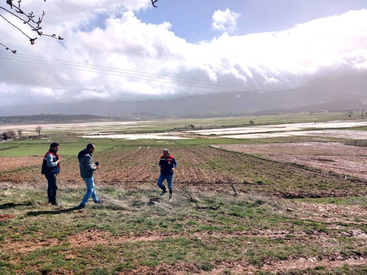 Afyonkarahisar’da Aşırı Yağış Hububat Tarlalarını Vurdu: Hasar Tespit Çalışmaları Başladı