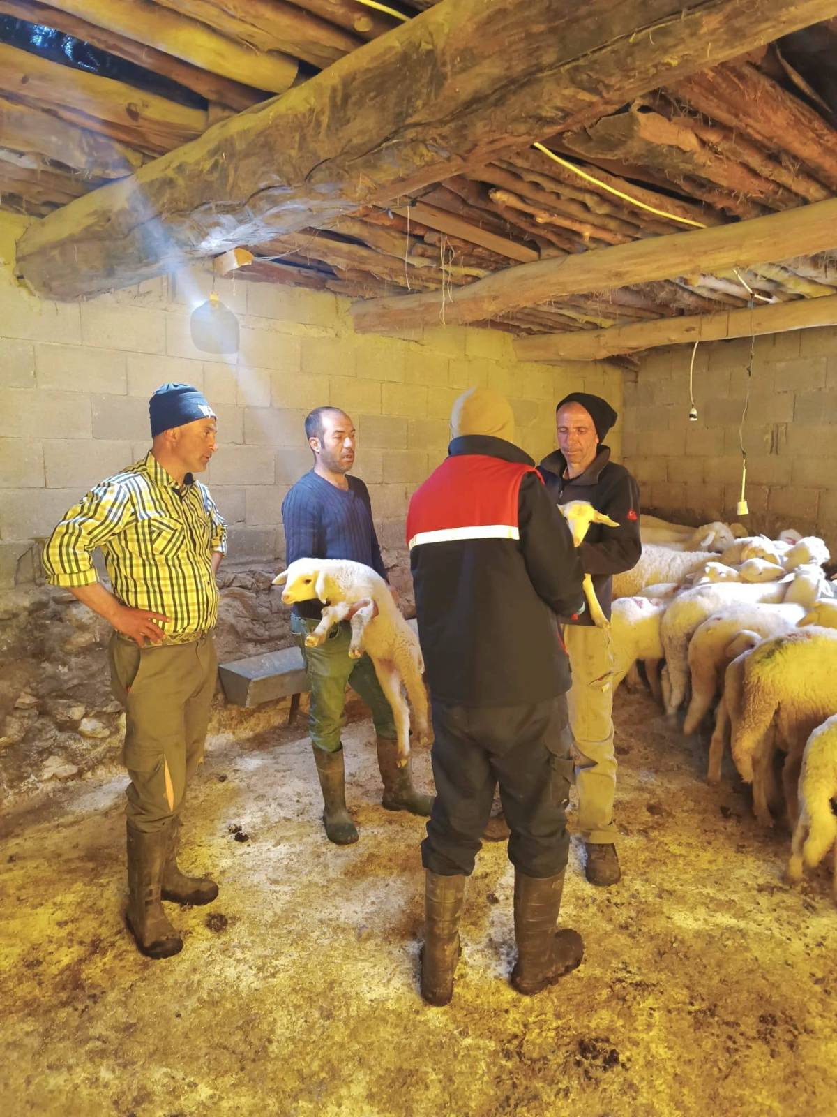 Afyonkarahisar’da Hayvan Sağlığı Çalışmaları Hız Kesmeden Devam Ediyor