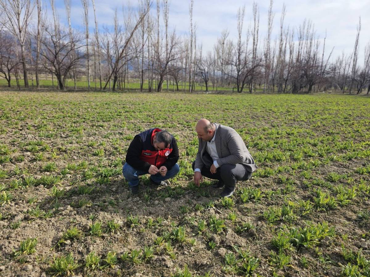 Afyonkarahisar’da Hububat ve Haşhaş Tarlalarında Yakın Takip