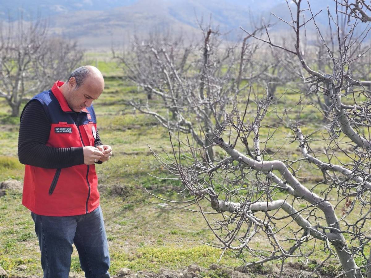 Afyonkarahisar’da Meyve Ağaçlarında Hastalık-Zararlı Kontrolleri Devam Ediyor