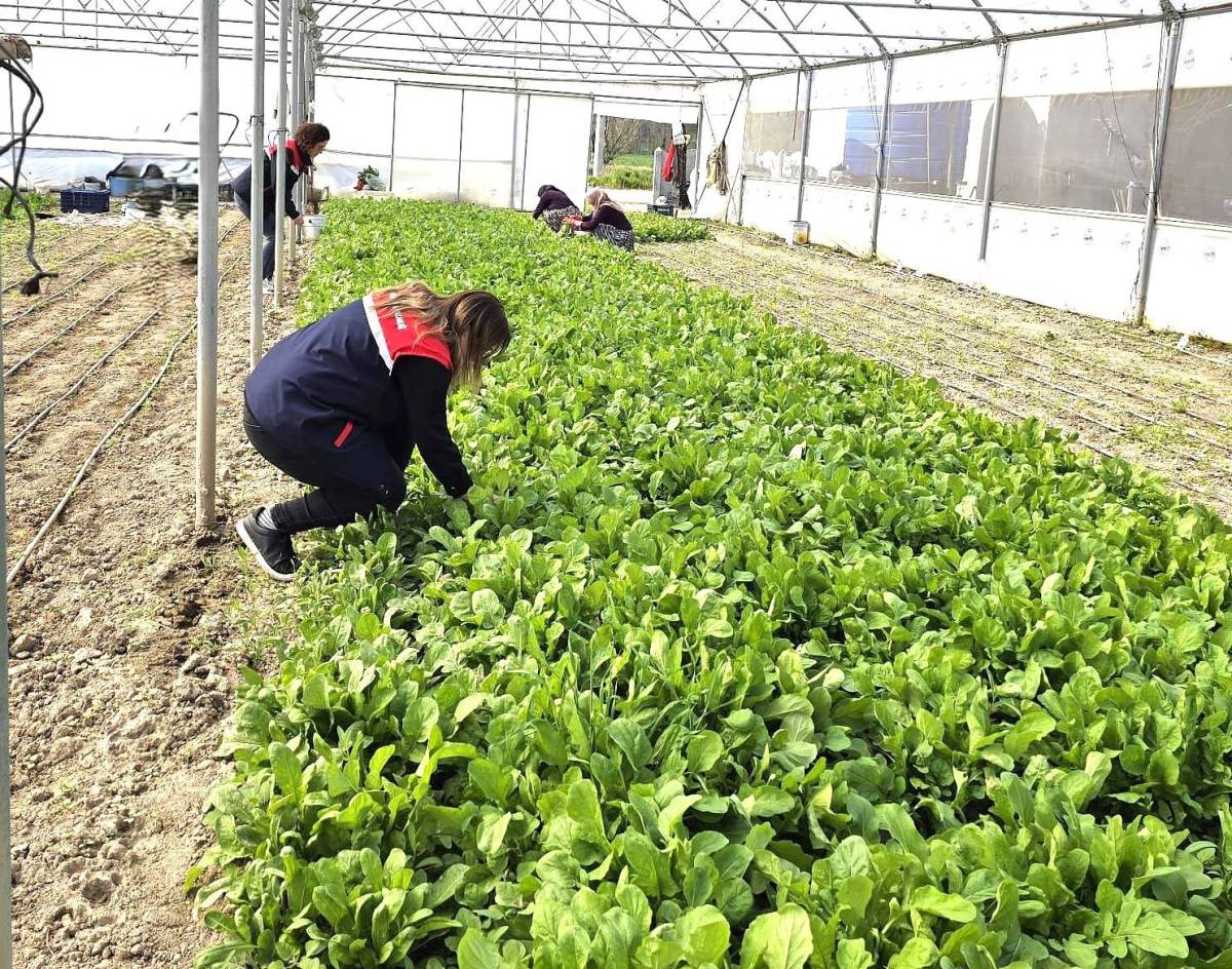 Afyonkarahisar’da Sera Üreticilerine Teknik Ziyaretler Devam Ediyor