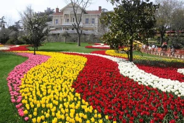 İstanbul Lale Festivali 2026 Ne Zaman, Nerede Yapılıyor? Tüm Detaylar!